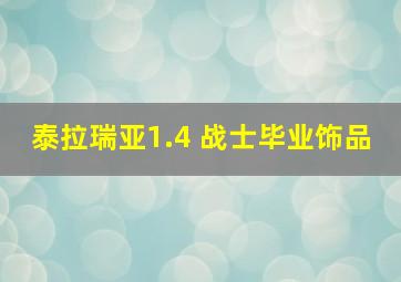 泰拉瑞亚1.4 战士毕业饰品